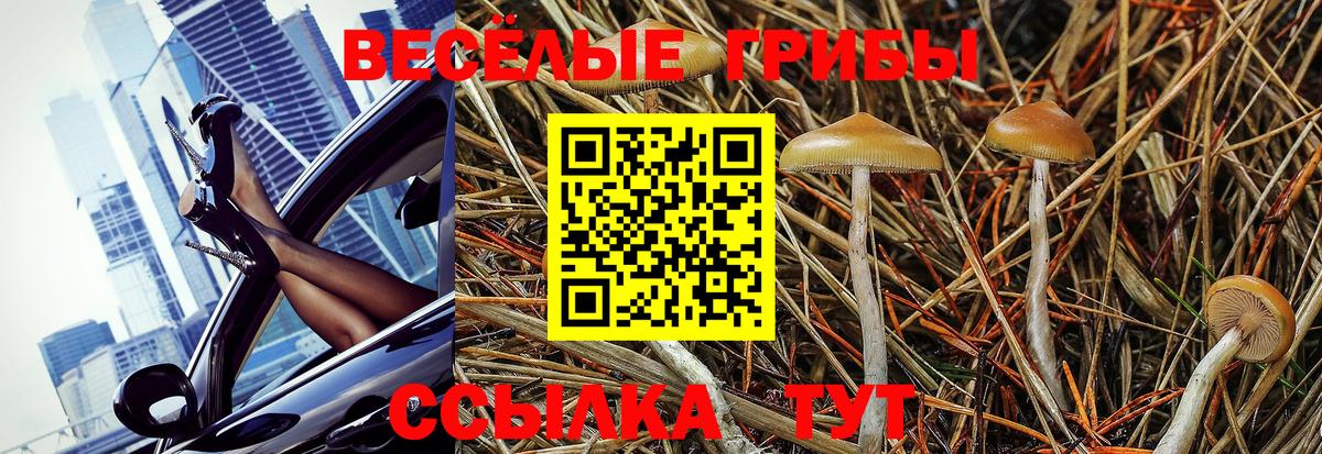 Псилоцибиновые грибы мухоморы  Вход с VPN  Псилоцибиновые грибы Cubensis  Дедовск 