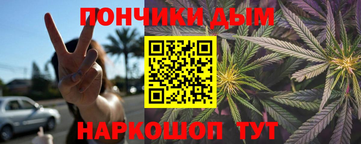 Конопля гибрид Дедовск